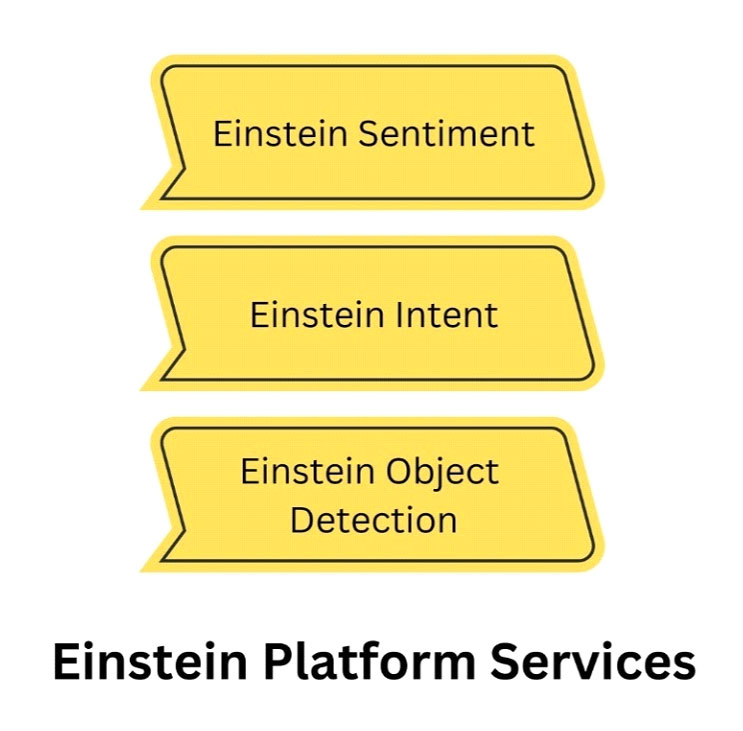 Einstein Platform Services